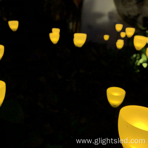 Holiday lighting and garden decoration lighting for outdoor